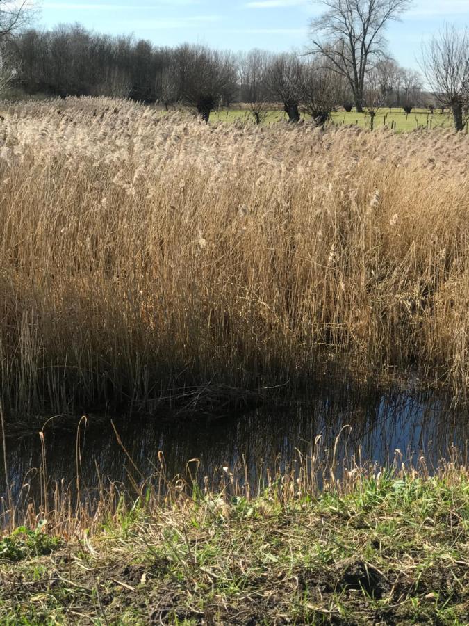 Familieverblijf De Groene Specht Sluis Exteriér fotografie